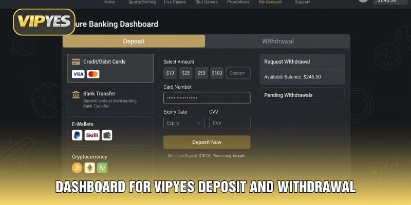 Dashboard for VIPYES deposit and withdrawal Dashboard for VIPYES deposit and withdrawal