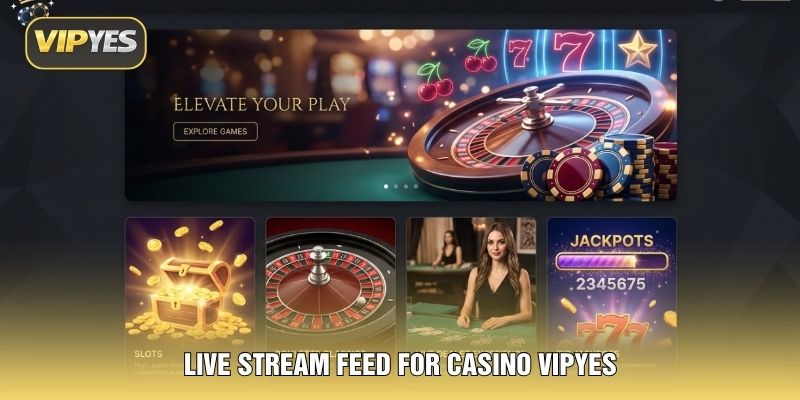 Live stream feed for Casino VIPYES Live stream feed for Casino VIPYES